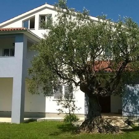 Apartments Villa Ulivo - Apartment Sol 파자나 외부 사진