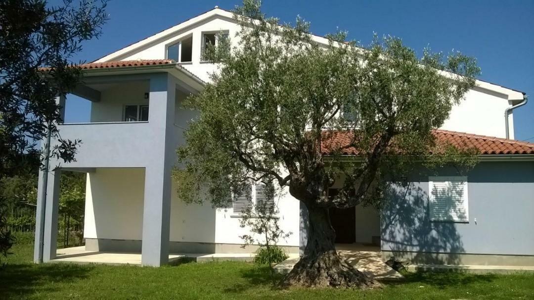 Apartments Villa Ulivo - Apartment Sol 파자나 외부 사진